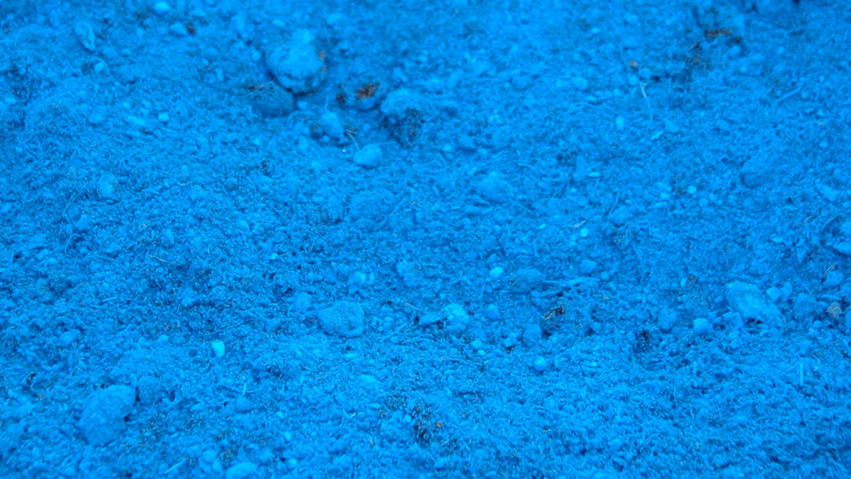 /img/website/diapo/environnement-test-2019/melange-bleu-flash.jpg