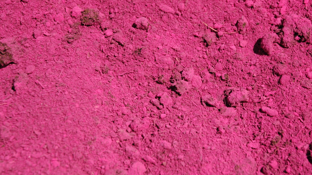 /img/website/diapo/environnement-test-2019/melange-fushia.jpg