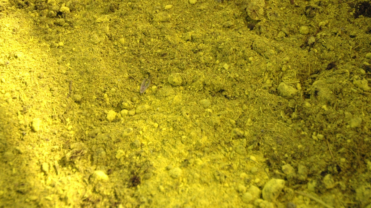 /img/website/diapo/environnement-test-2019/melange-jaune-flash.jpg