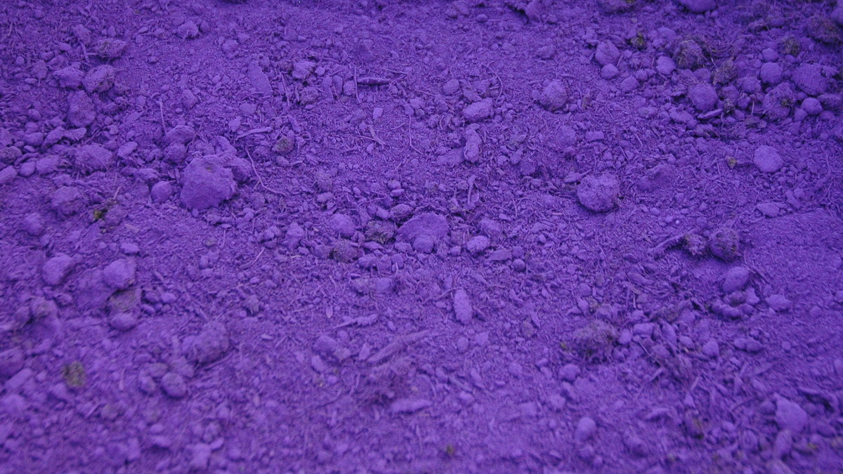 /img/website/diapo/environnement-test-2019/melange-violet.jpg