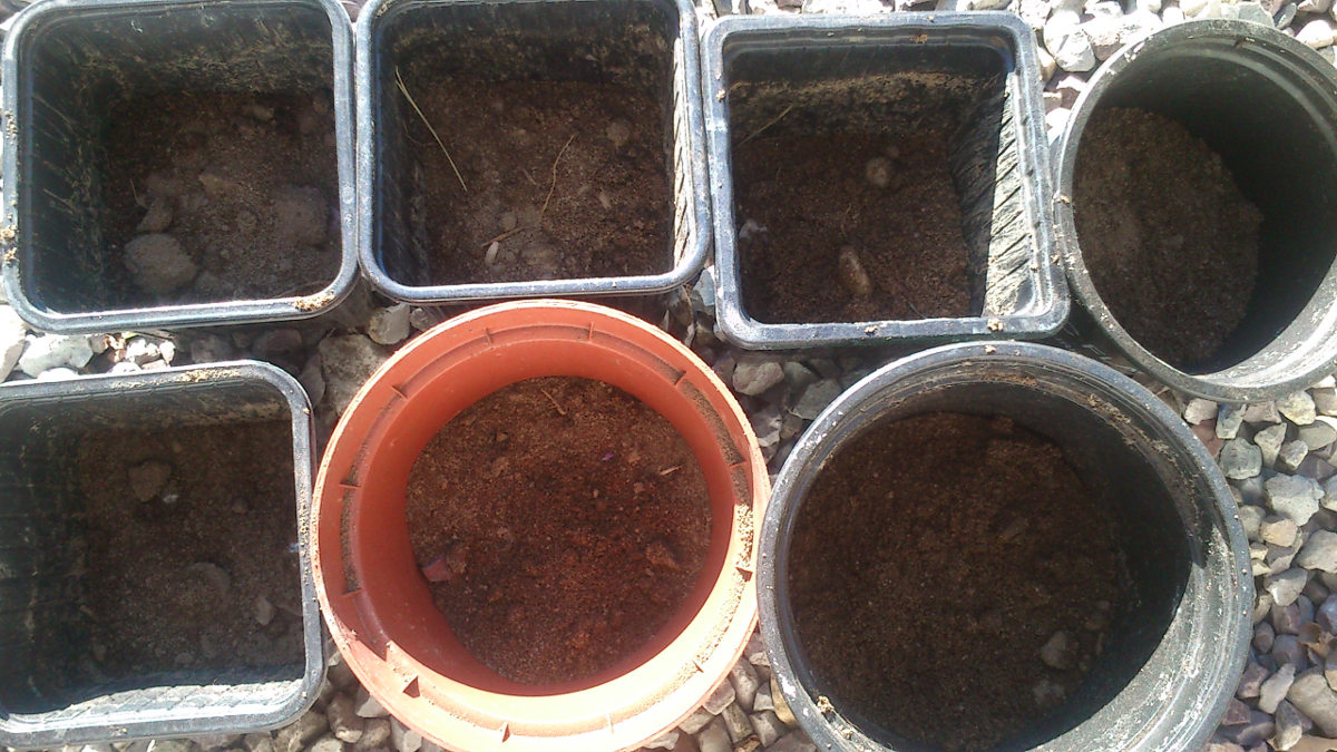 /img/website/diapo/environnement-test/eco_02.jpg