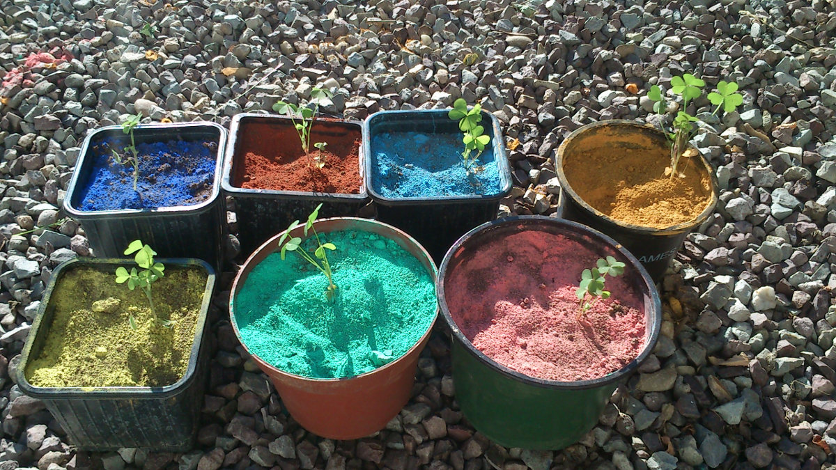 /img/website/diapo/environnement-test/eco_08.jpg