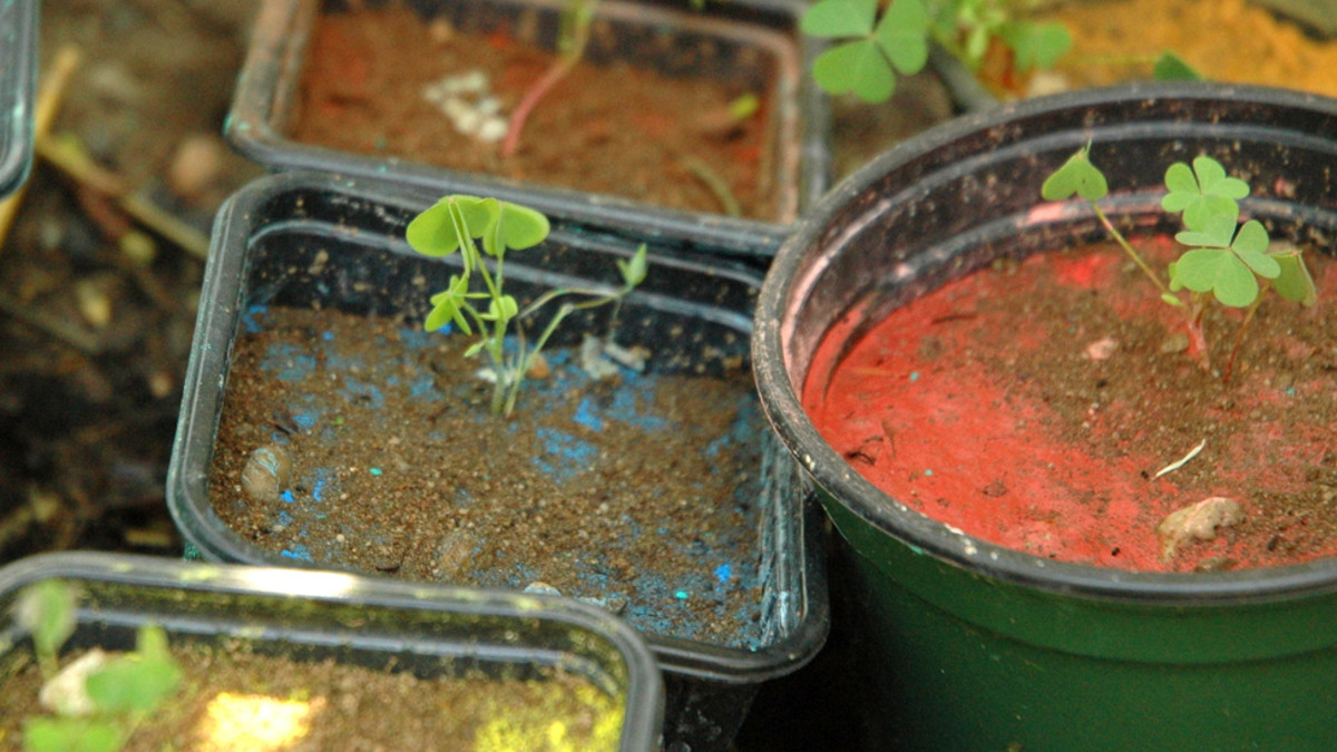 /img/website/diapo/environnement-test/eco_09.jpg