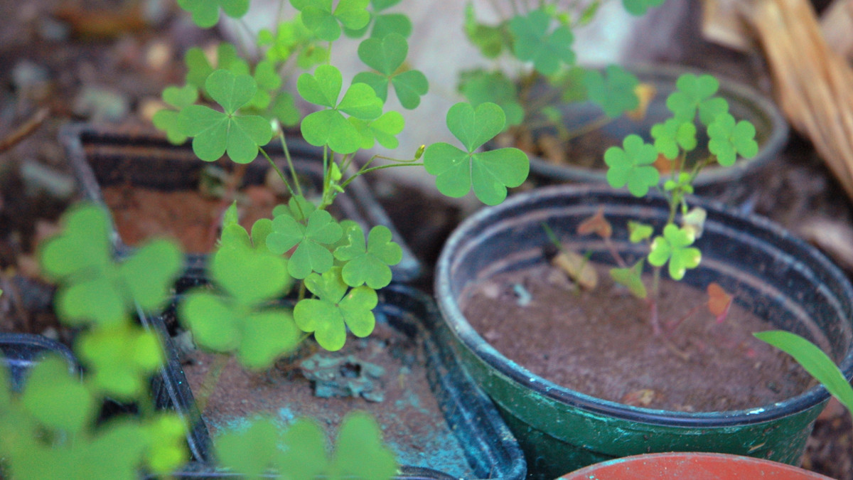 /img/website/diapo/environnement-test/eco_12.jpg